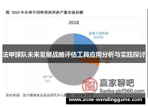 法甲球队未来发展战略评估工具应用分析与实践探讨