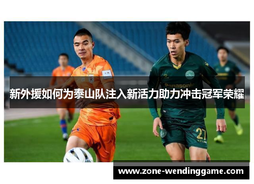 新外援如何为泰山队注入新活力助力冲击冠军荣耀