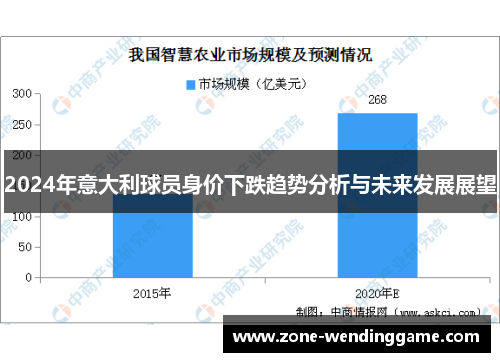 2024年意大利球员身价下跌趋势分析与未来发展展望