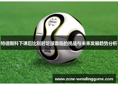 特德斯科下课后比利时足球面临的挑战与未来发展趋势分析